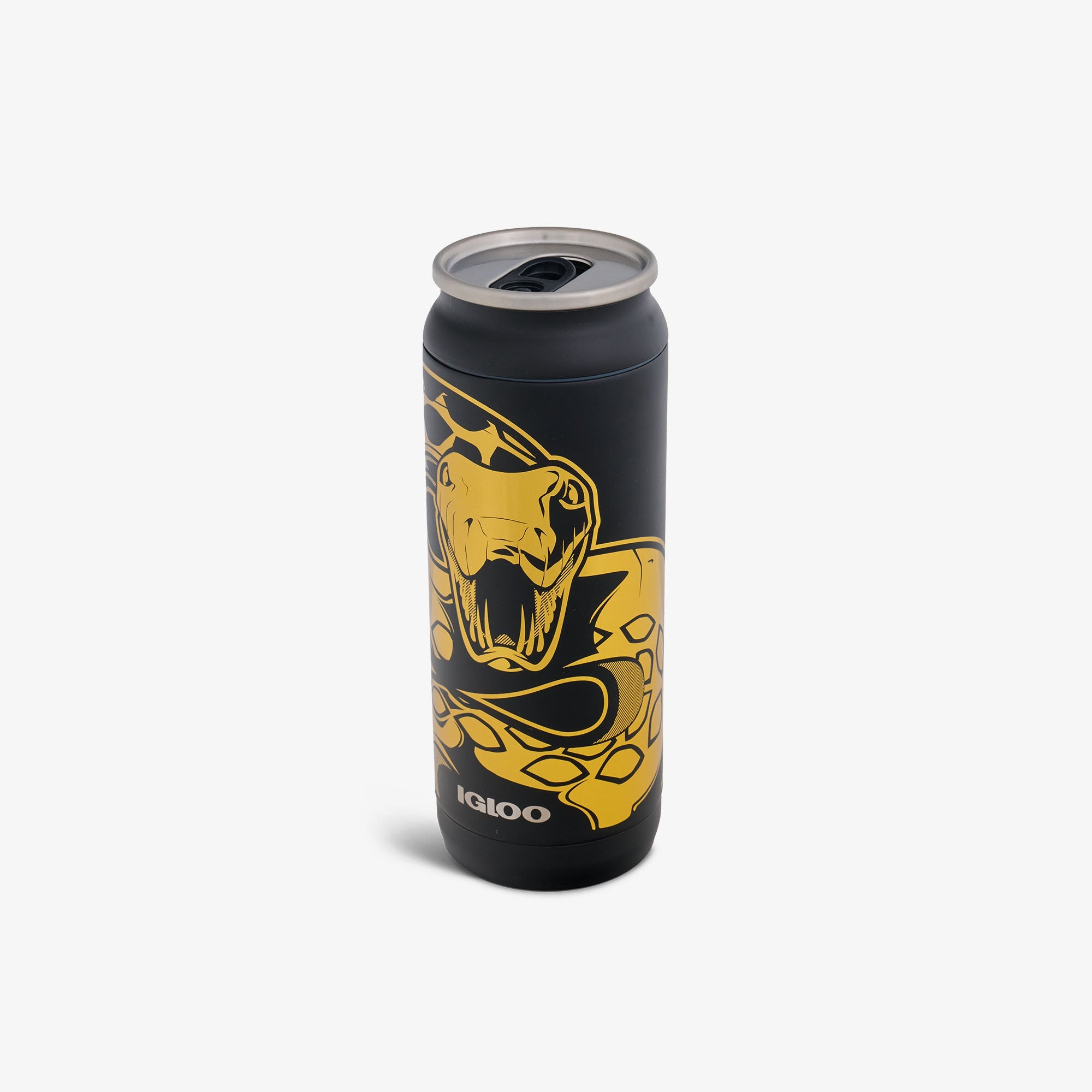 HARRY POTTER Dark Arts™ Nagini 16 Oz Can