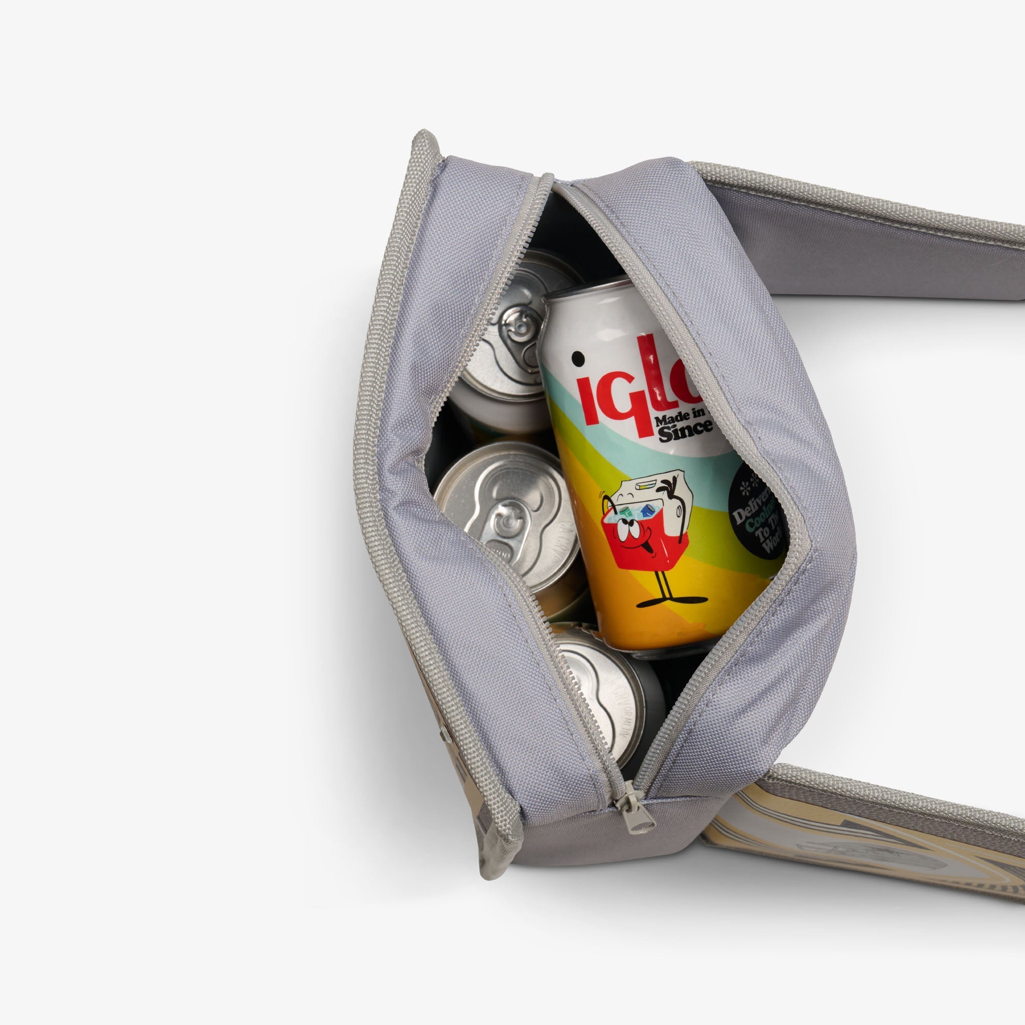 NFL WWE Cooler Fanny Pack