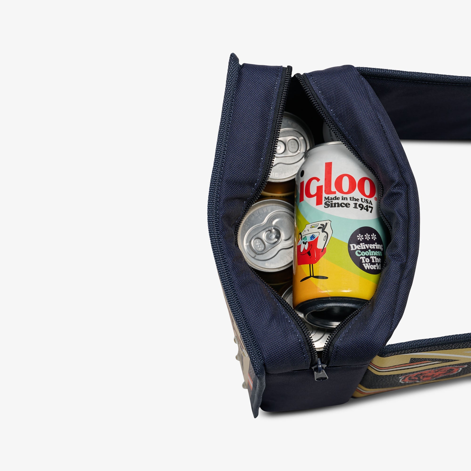 NFL WWE Cooler Fanny Pack