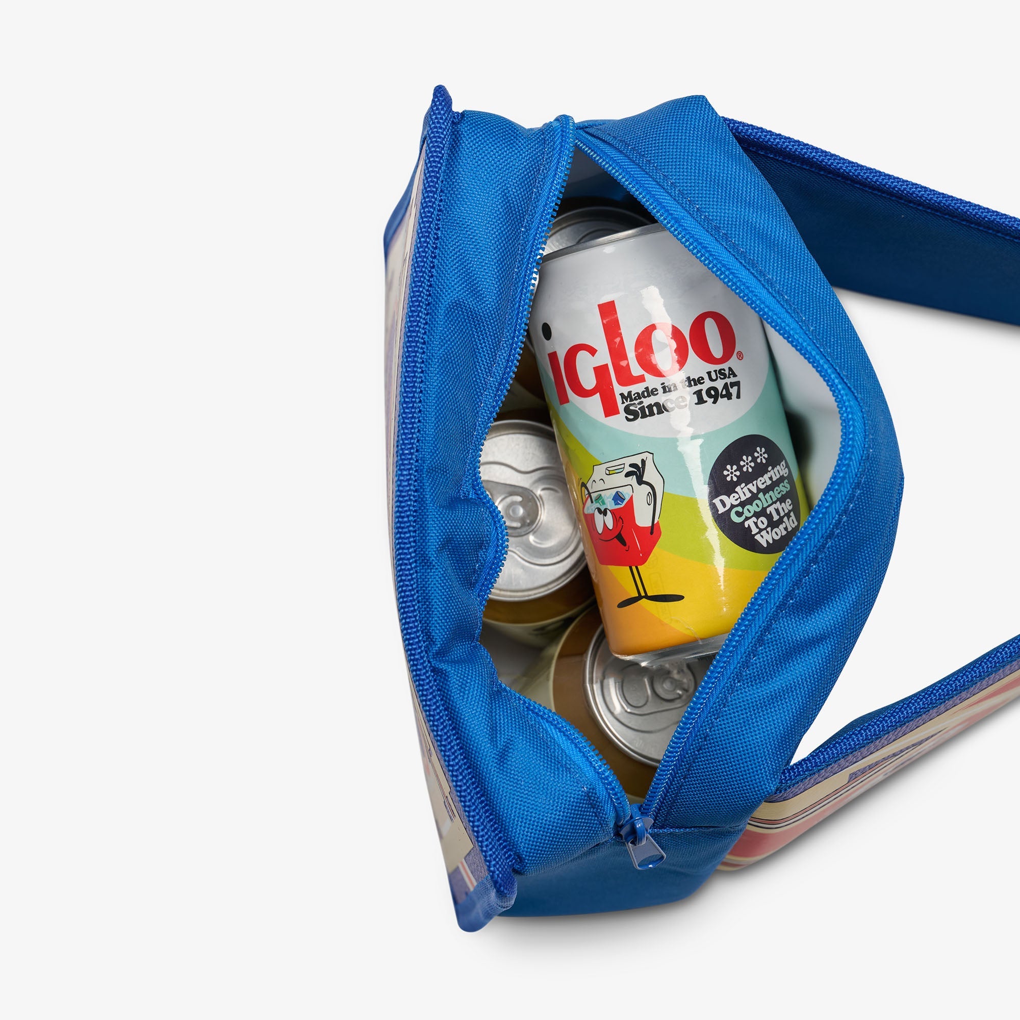 NFL WWE Cooler Fanny Pack