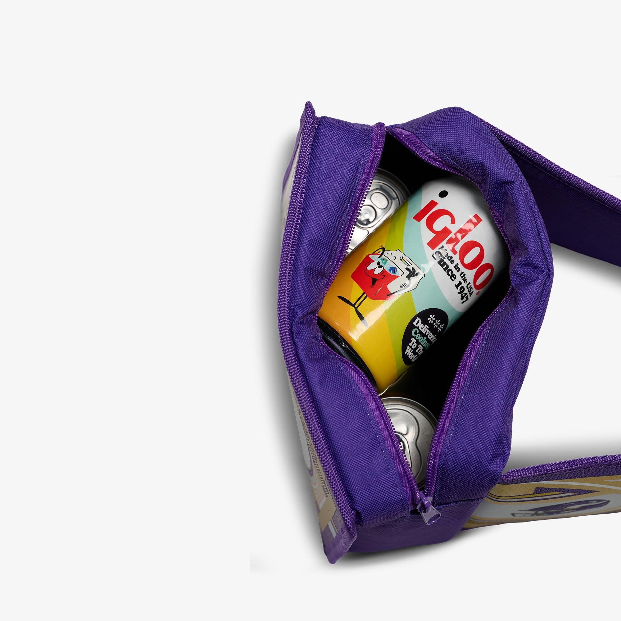 NFL WWE Cooler Fanny Pack